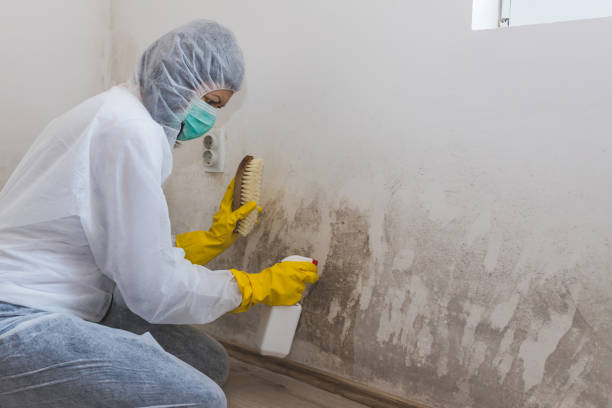 Best Crawl Space Mold Removal  in Manchester, MO
