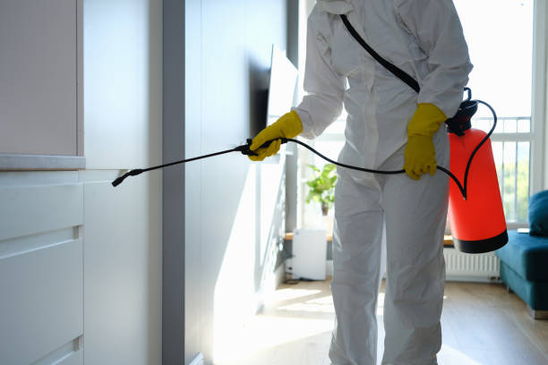 Best Mold Cleaning Services  in Manchester, MO