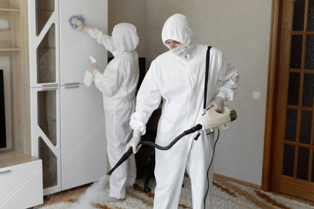 Attic Mold Removal in Manchester, MO
