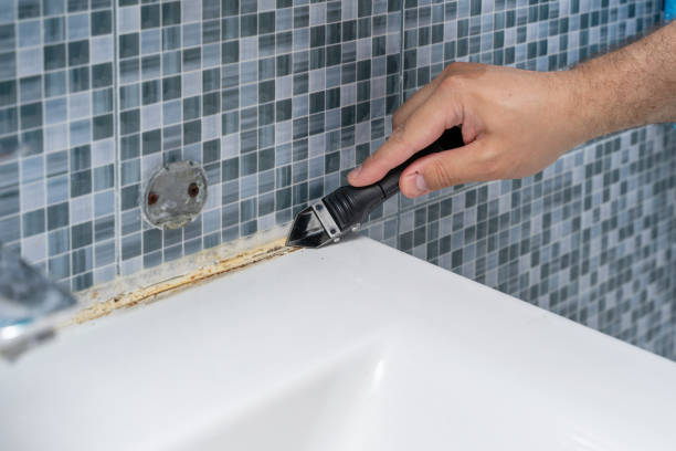 Best Black Mold Removal  in Manchester, MO